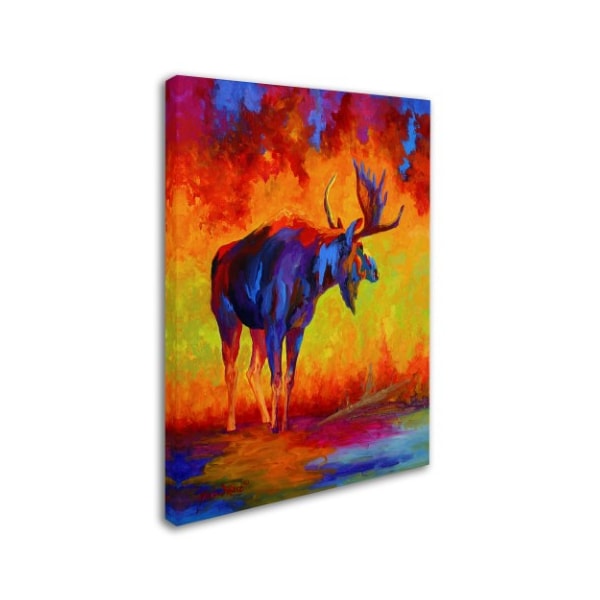 Marion Rose 'Moose 5' Canvas Art,14x19